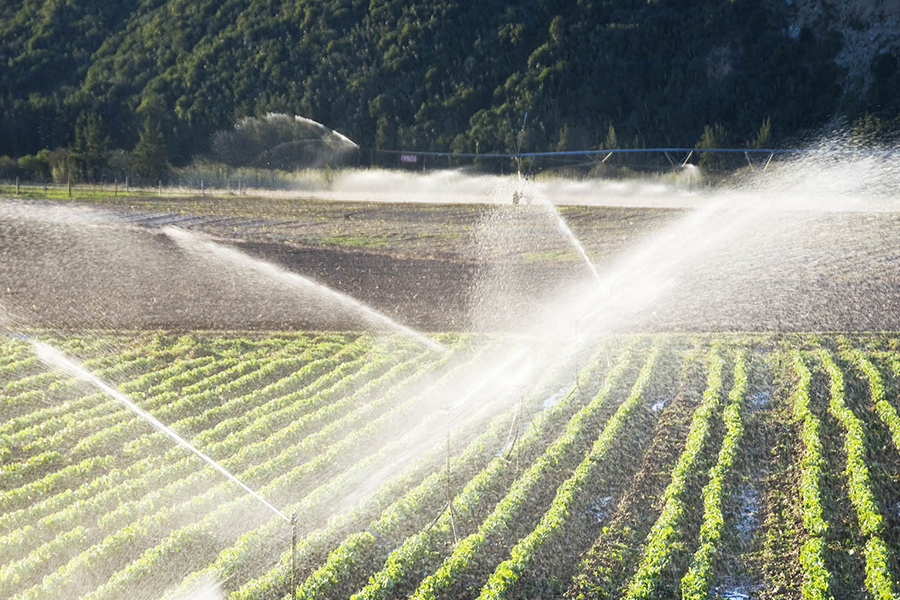 Automatización agrícola